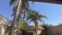 IMG_8392.JPEG