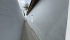 IMG_2645.JPEG